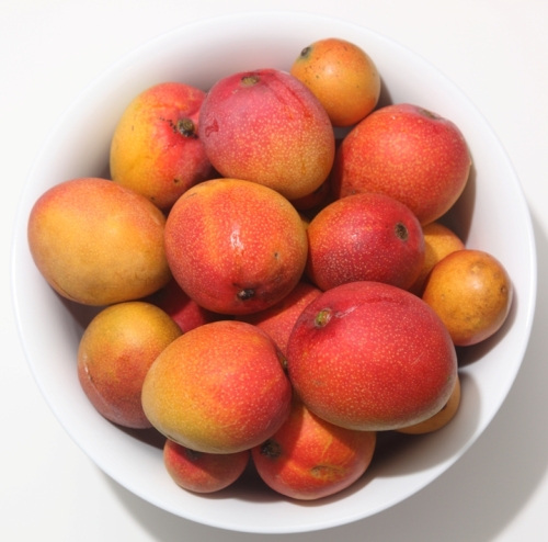 mangoes - cropped